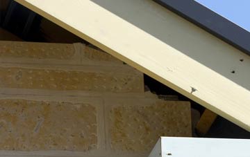 soffit repair Strathaven